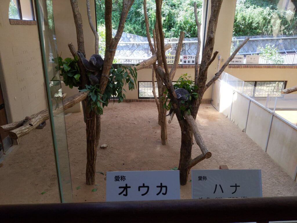 神戸市立王子動物園_20210723