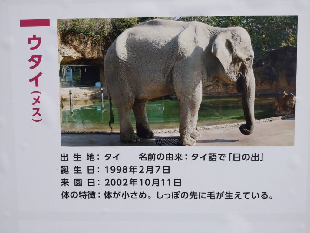 上野動物園_20211002