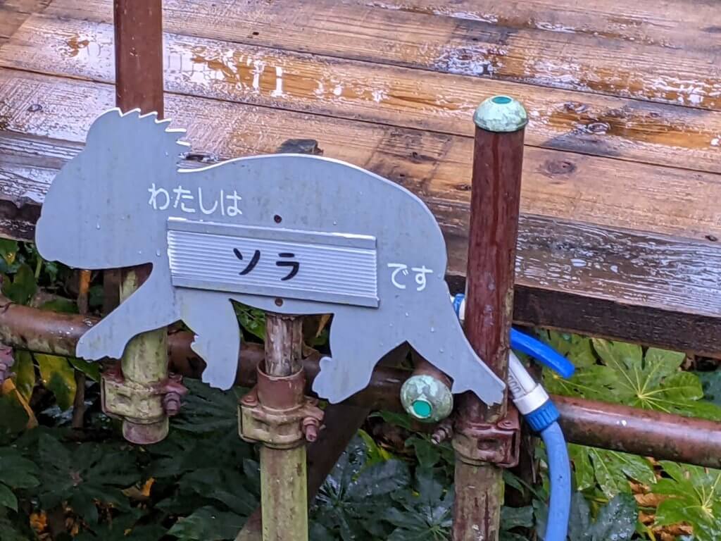 埼玉こども動物公園_2022ナイトZOO