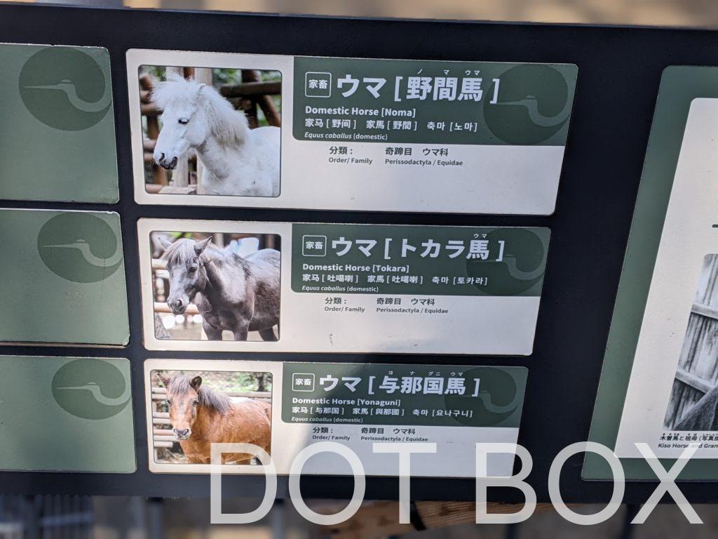 上野動物園_20230303