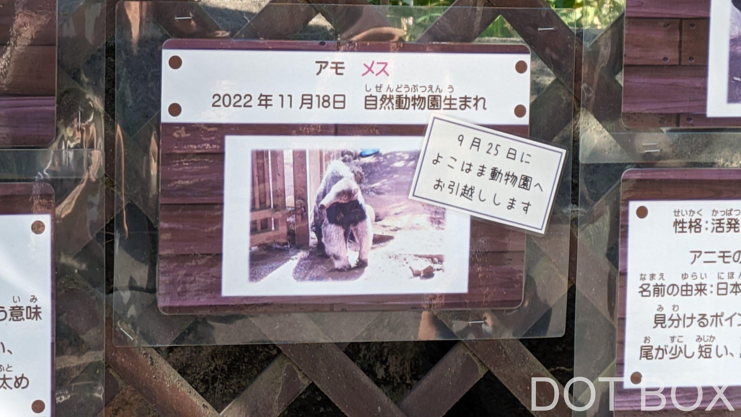 江戸川区自然動物園_20230917